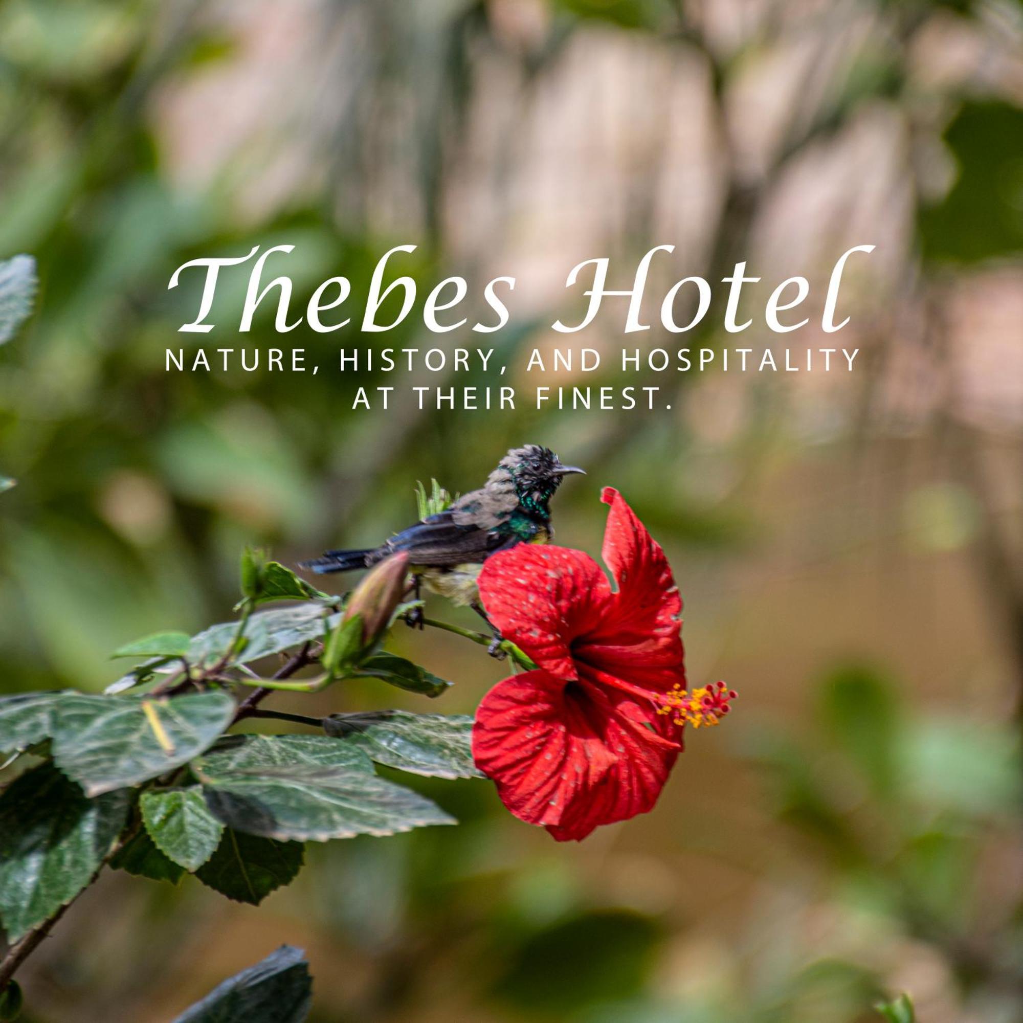Thebes Hotel Luxor Exteriör bild
